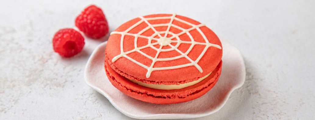 LARGE RASPBERRY CHEESECAKE MACARON 